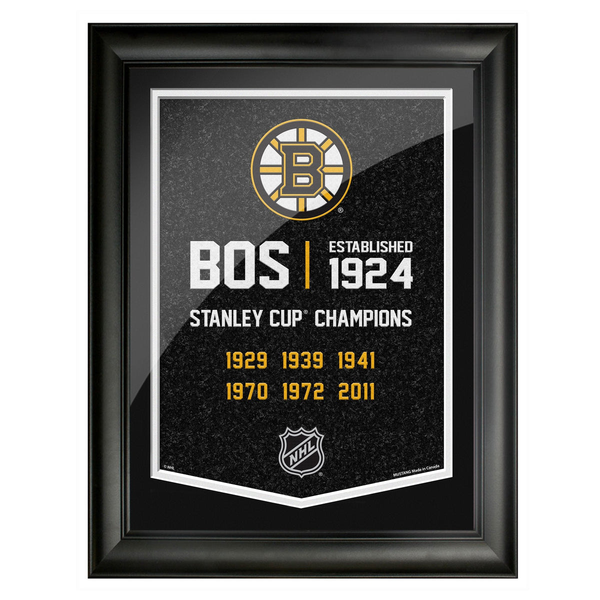 sports_decor, framed_banner