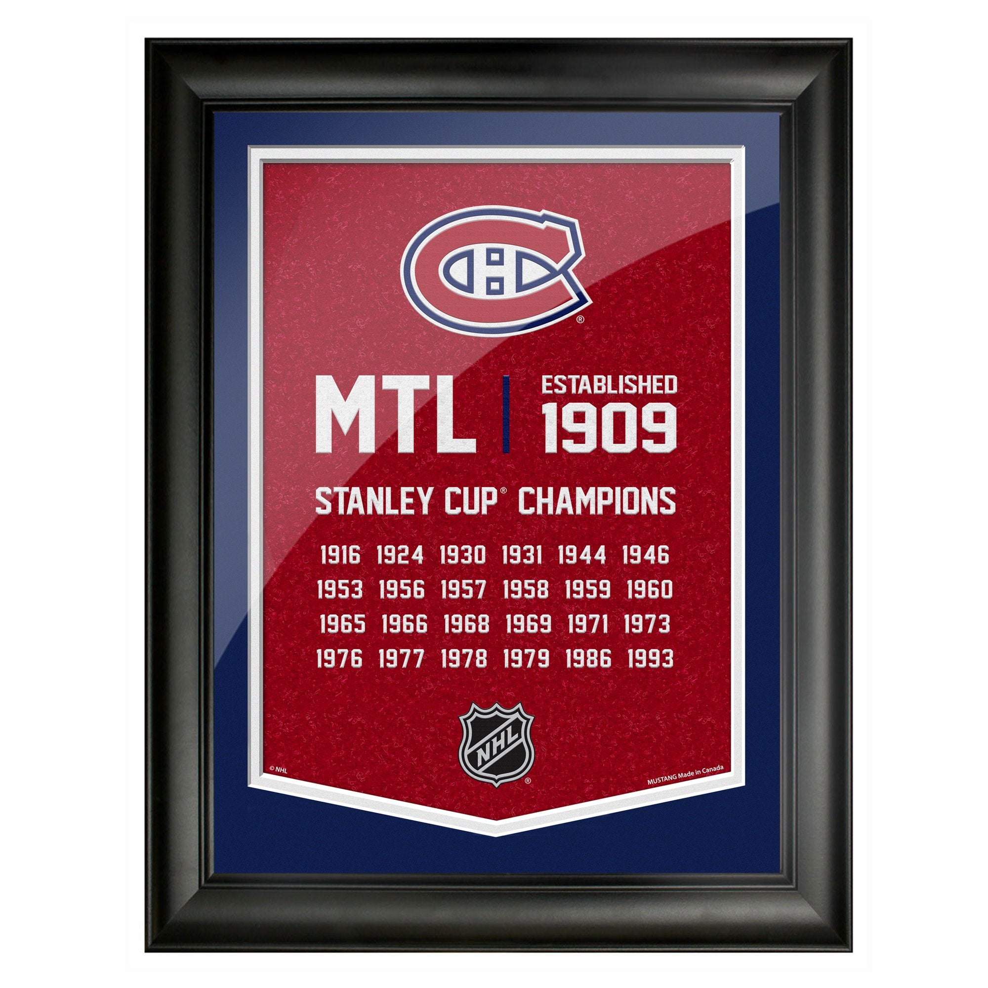sports_decor, framed_banner