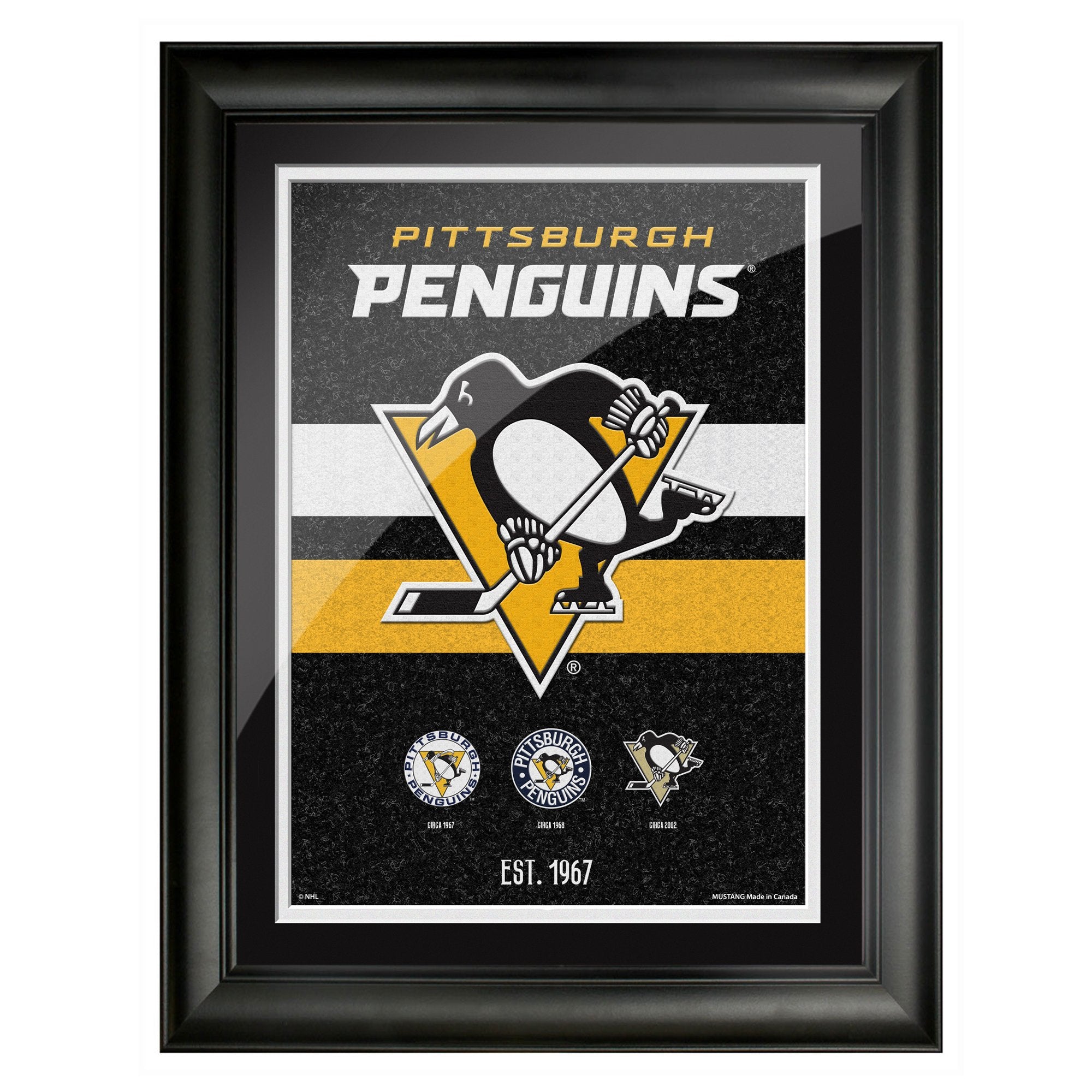 sports_decor, framed_banner