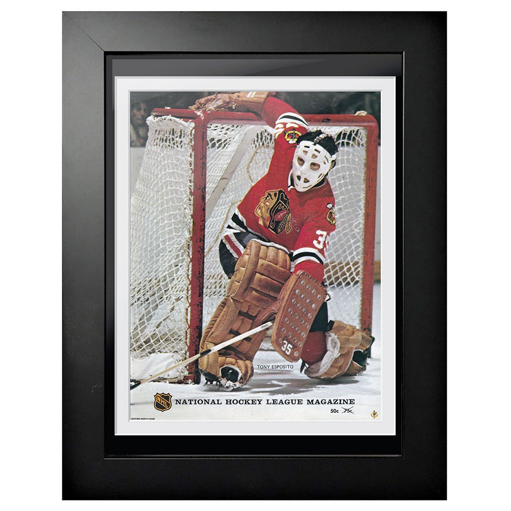 Tony Esposito  Chicago blackhawks, Blackhawks, Hockey goalie