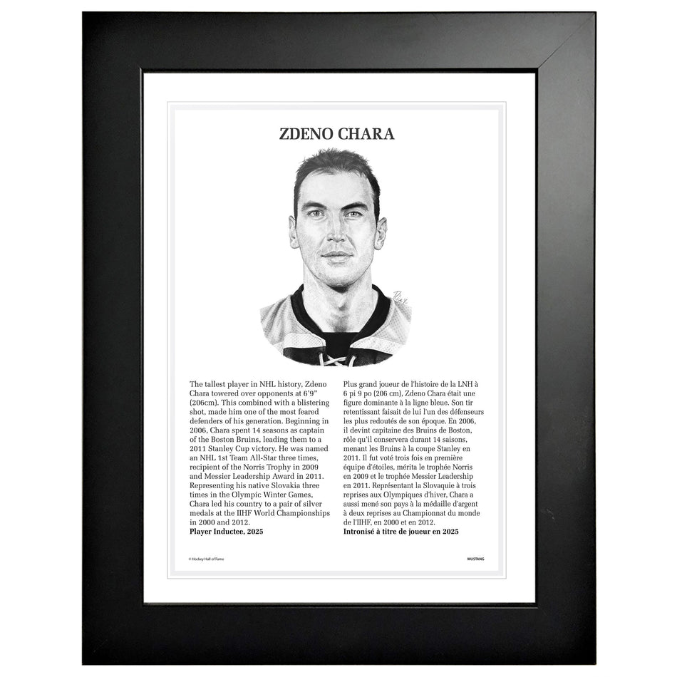 NHL Legends | Hockey Hall of Fame 12x16 Frame | Zdeno Chára
