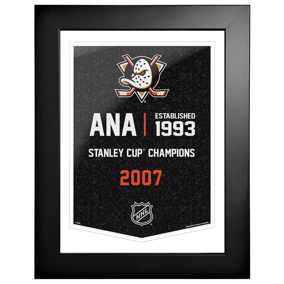 Anaheim Ducks 12 x 16 Empire Framed Sign