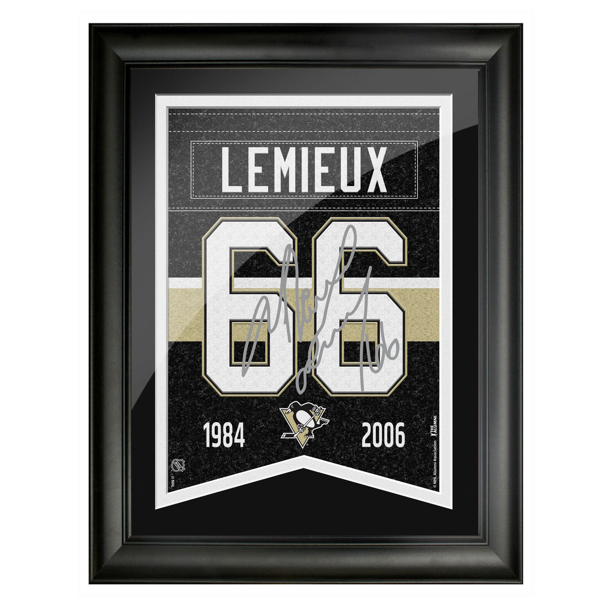 sports_decor, framed_banner