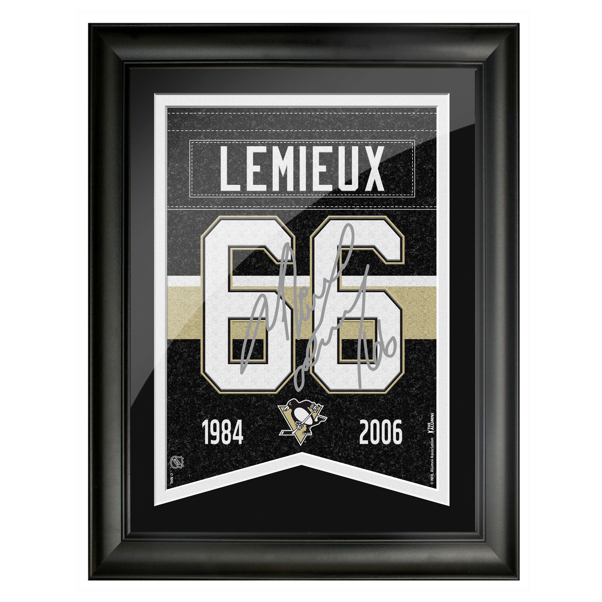 sports_decor, framed_banner