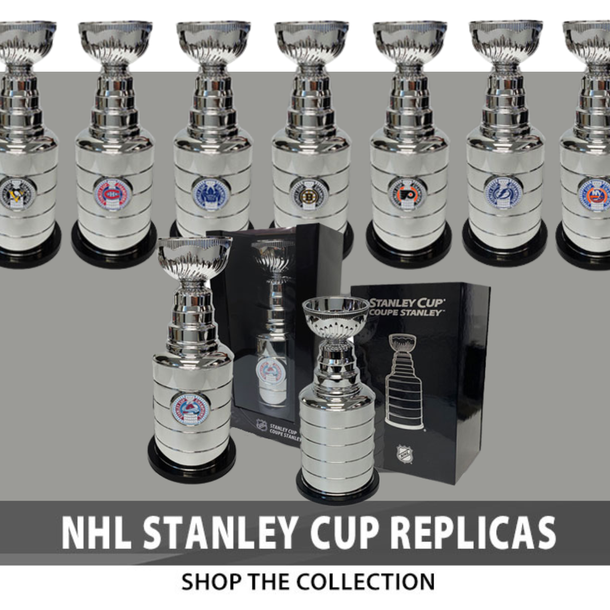 Hockey Hall of Fame - Stanley Cup Journals: 39