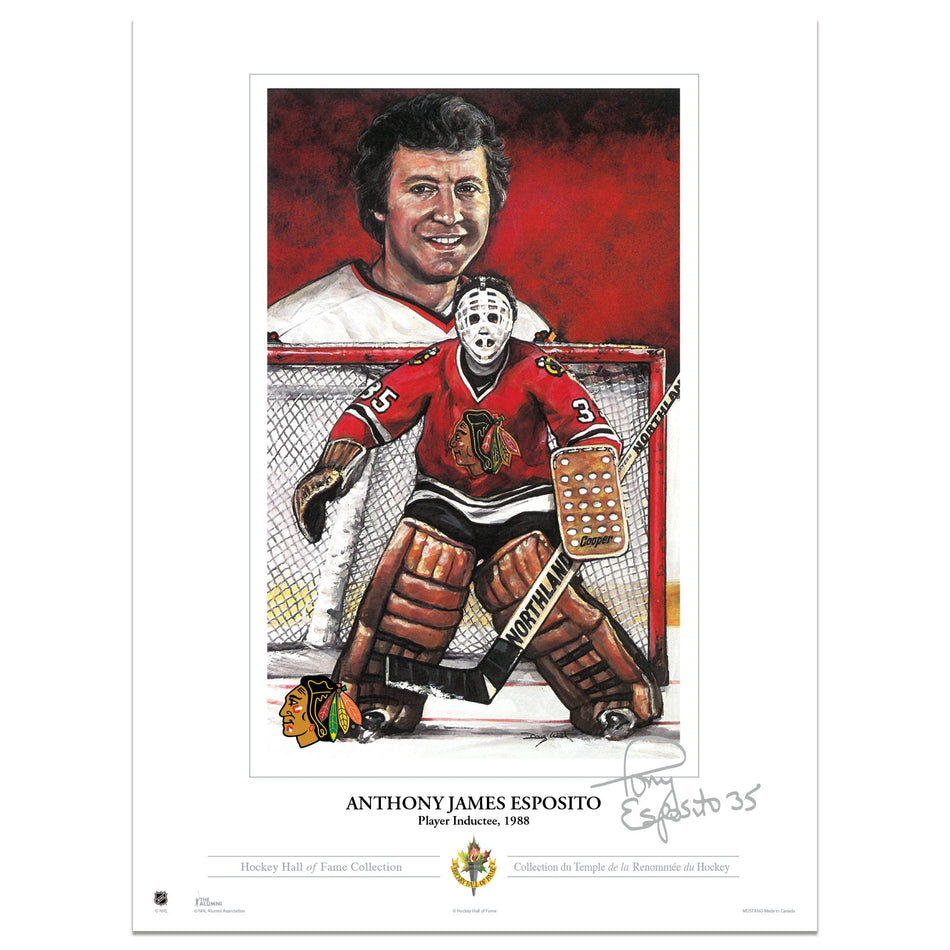 Chicago Blackhawks Memorabilia | Tony Esposito Collectors Card Print 12"x16"
