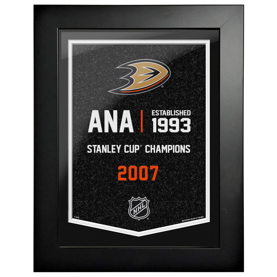 Anaheim Ducks 12 x 16 Empire Framed Sign